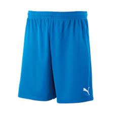 Puma Short (701945-02)
